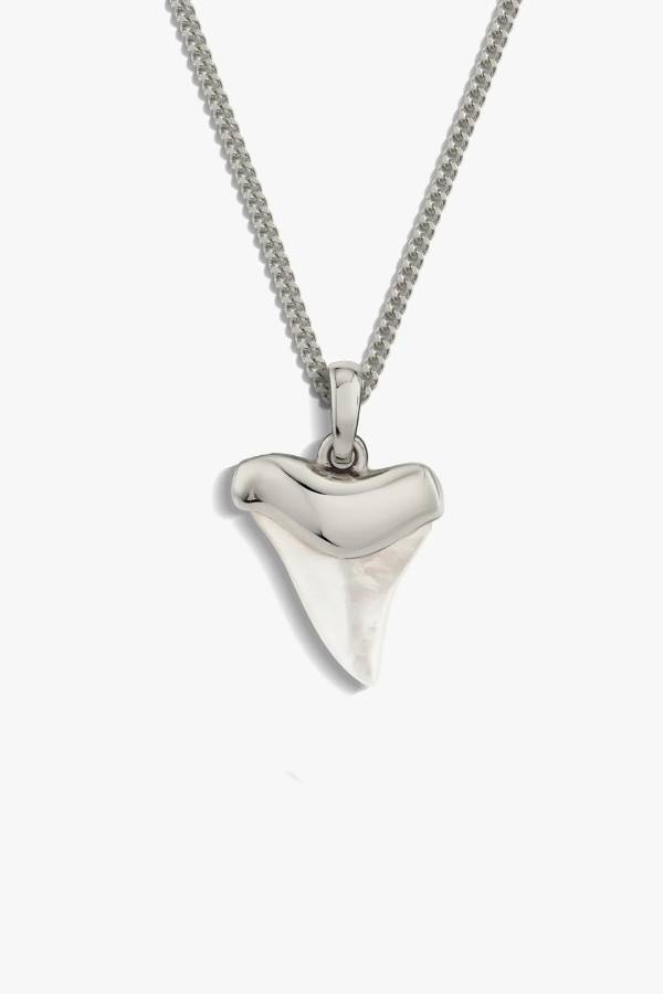 Shark Tooth Silver Necklace