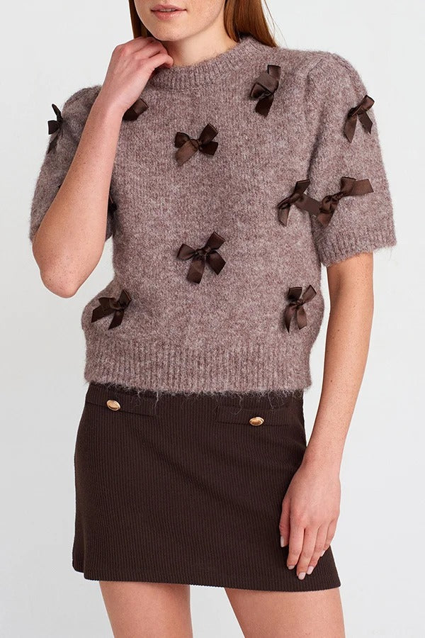 Jensin Knit Satin Bow Detail Short Sleeve Crop Sweater
