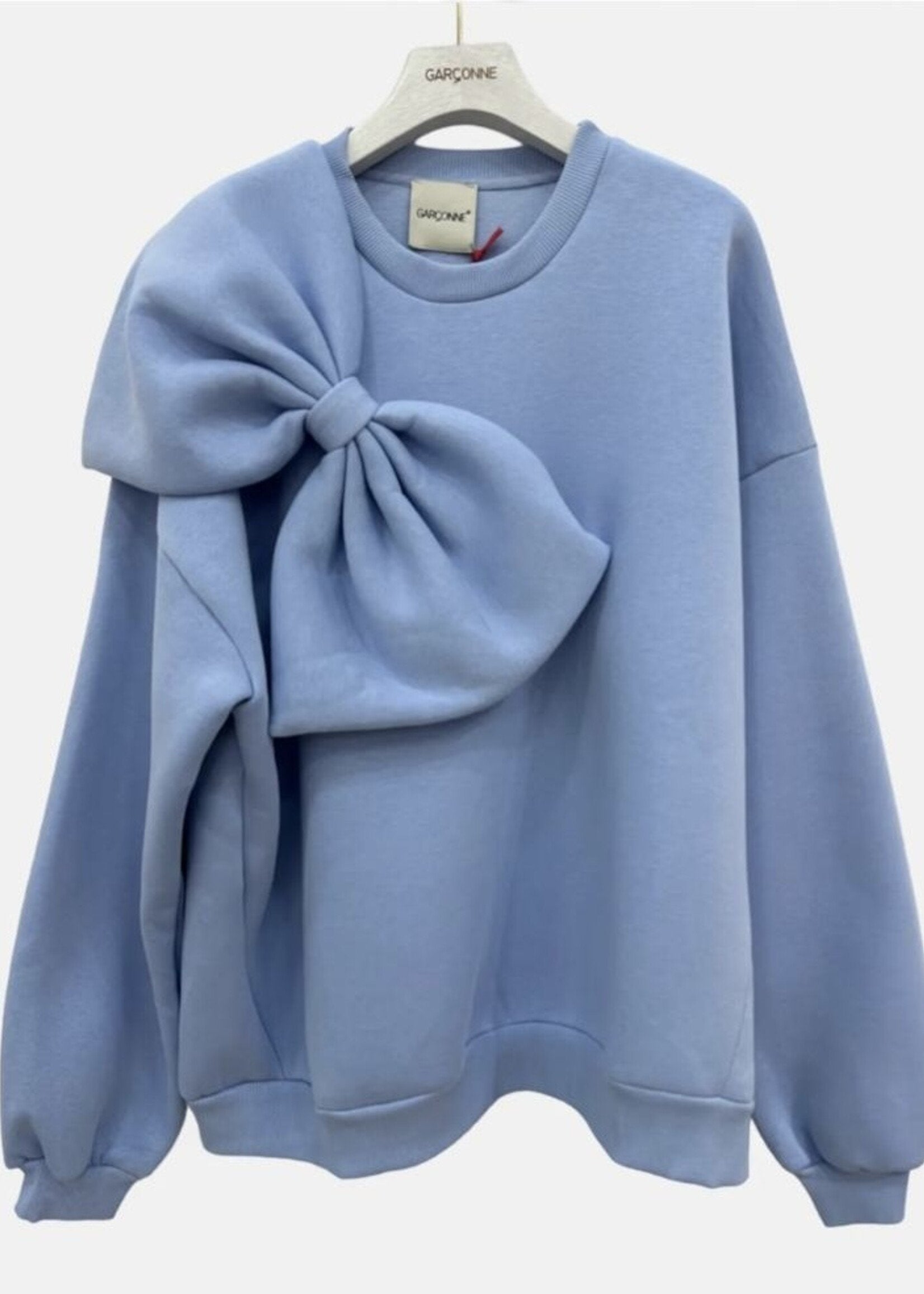 Papillon-blue-sweater